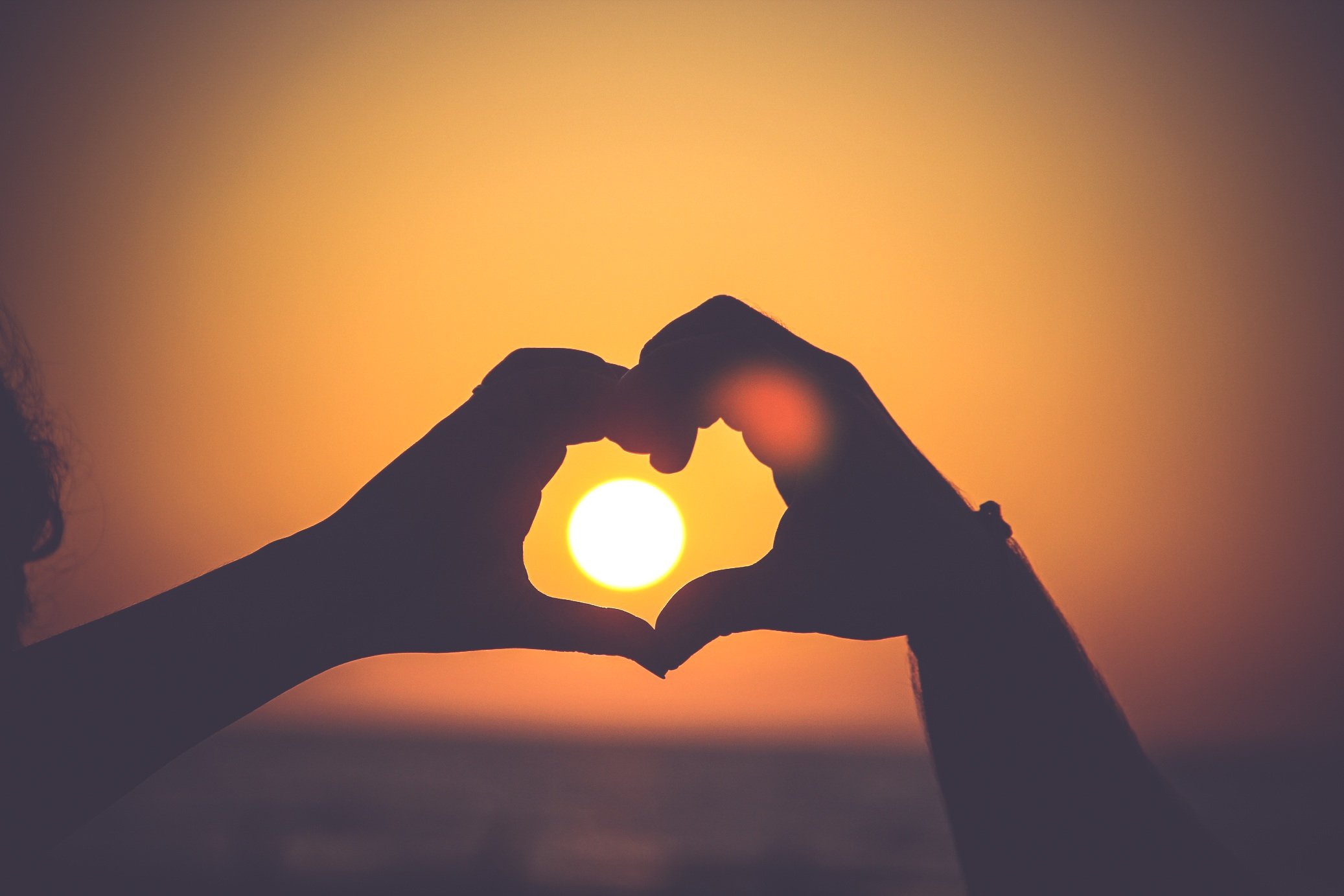 Heart in Hands.jpg