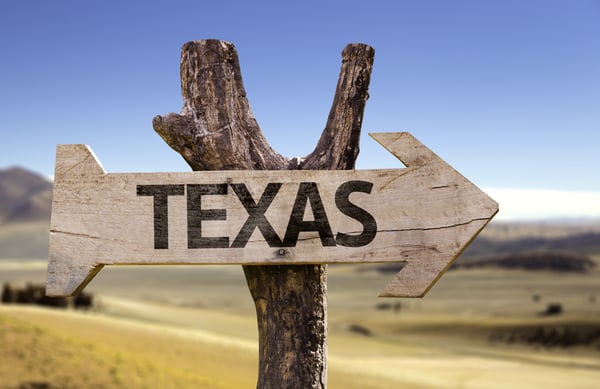 Texas wooden sign isolated on desert background