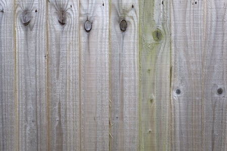 Does Texas Home Insurance Cover Fences