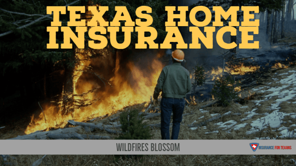 Texas Home Insurance - Wildfires Blossom