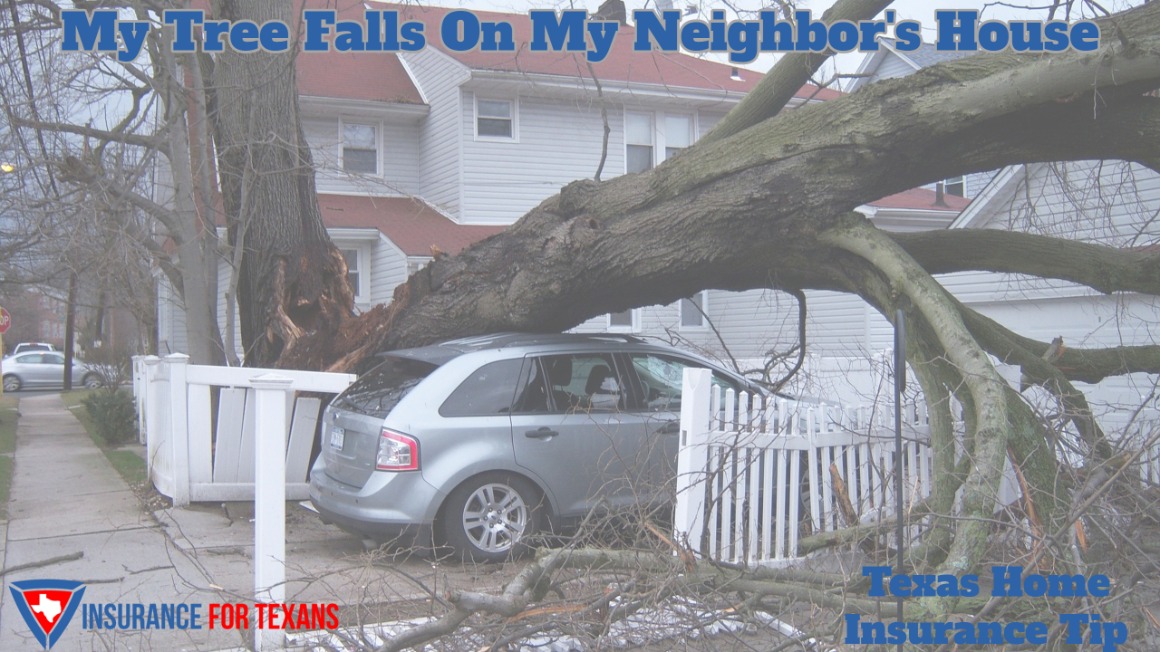 My Tree Falls On My Neighbors House, which home insurance is responsible?