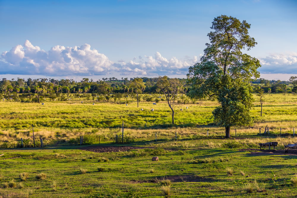 Texas Home Insurance outside of the city has unique requirements